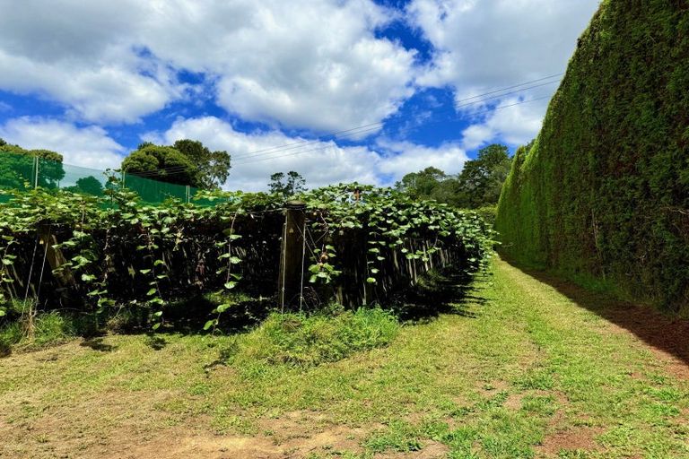 Photo of property in 29 I'anson Road, Minden, 3179