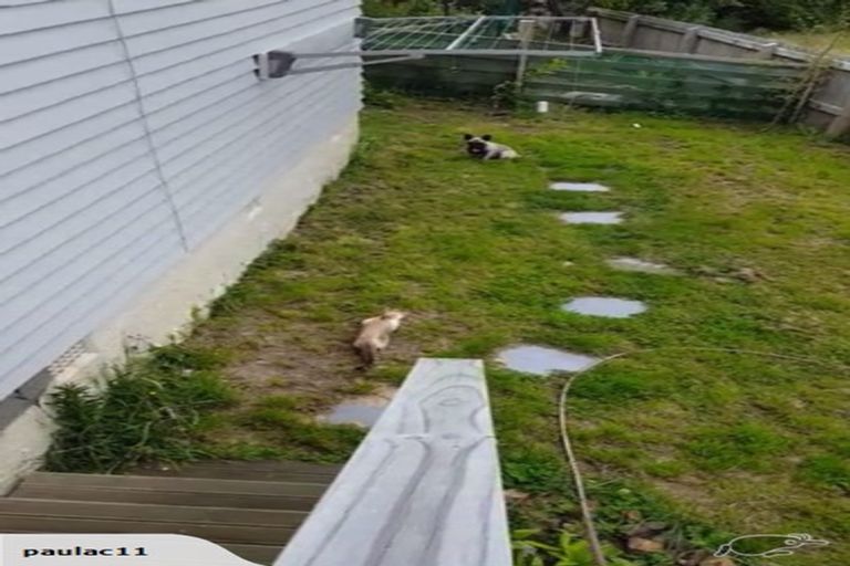 Photo of property in 14 Downes Street, Titahi Bay, Porirua, 5022