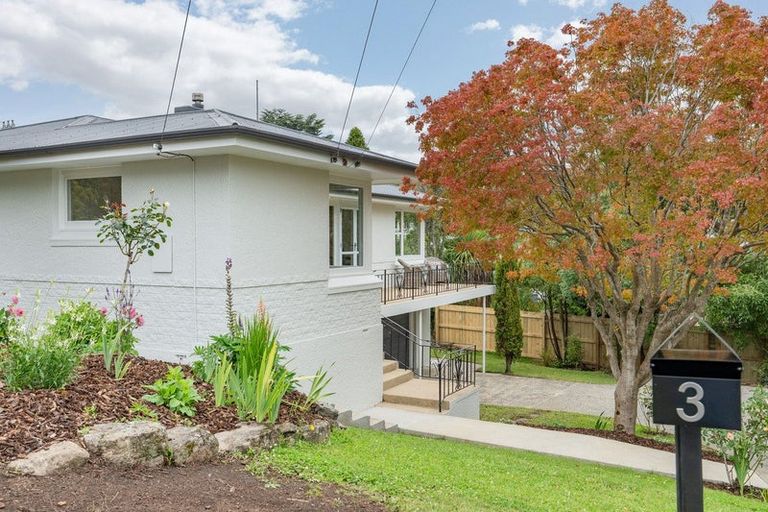 Photo of property in 3 Jason Street, Helensburgh, Dunedin, 9010