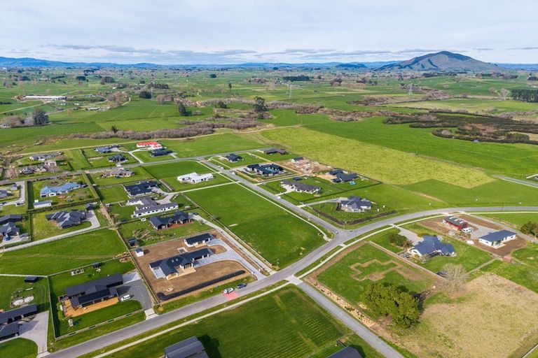 Photo of property in 733 Collinson Street, Pirongia, 3802