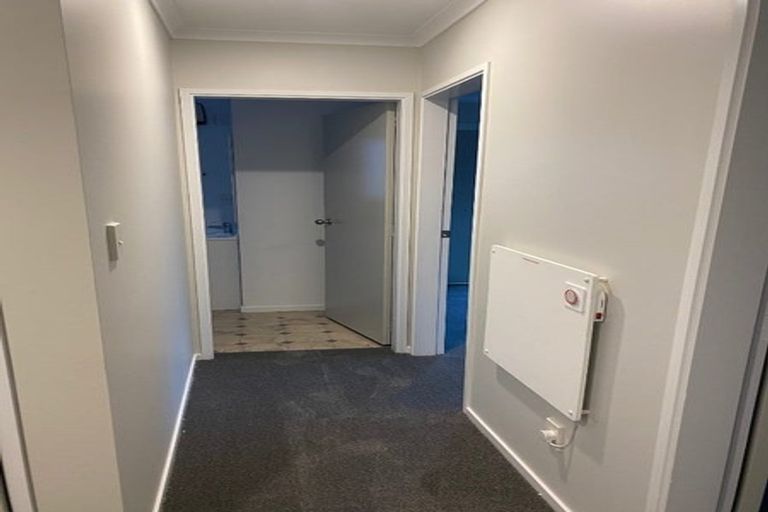 Photo of property in 22e Hunter Street, Hamilton Lake, Hamilton, 3204