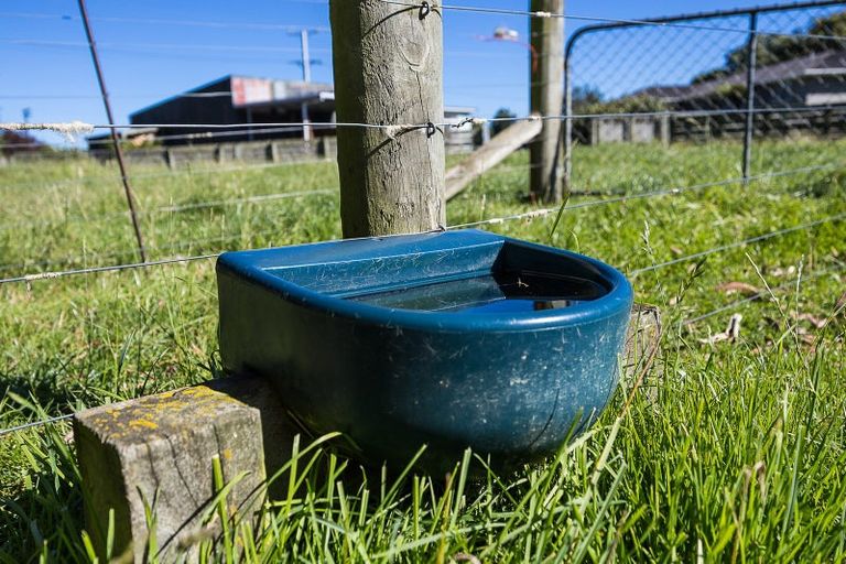 Photo of property in 244 Factory Road, Mosgiel, 9092