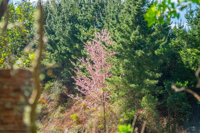 Photo of property in 514 State Highway 1, Wairakei, Taupo, 3384