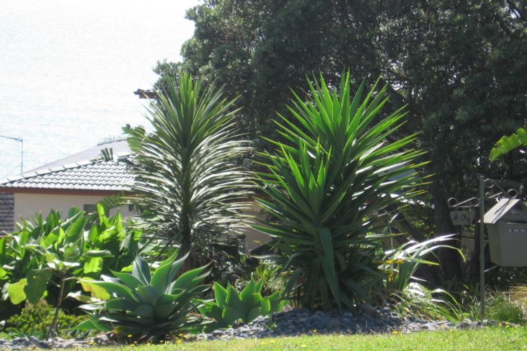 Photo of property in 49a Churchill Road, Murrays Bay, Auckland, 0630