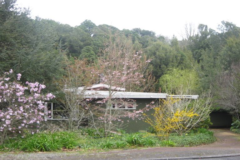 Photo of property in 173 Huatoki Street, Upper Vogeltown, New Plymouth, 4310
