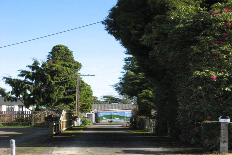 Photo of property in 119a Bartholomew Road, Levin, 5510