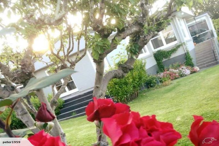 Photo of property in 509 Otumoetai Road, Otumoetai, Tauranga, 3110