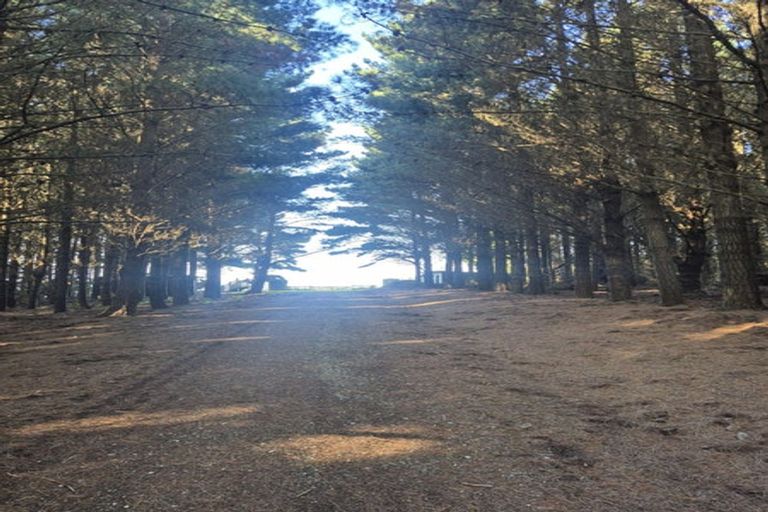 Photo of property in 4894 Hampden-palmerston Road, Shag Point, Palmerston, 9482