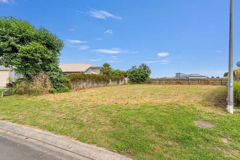 Photo of property in 20 Bertelsen Court, Otaki, 5512