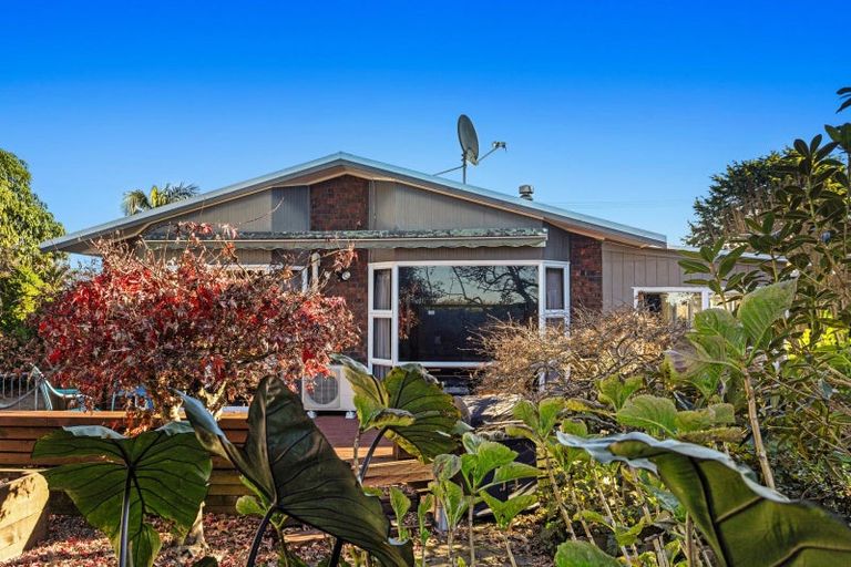 Photo of property in 81 College Road, Edgecumbe, 3120