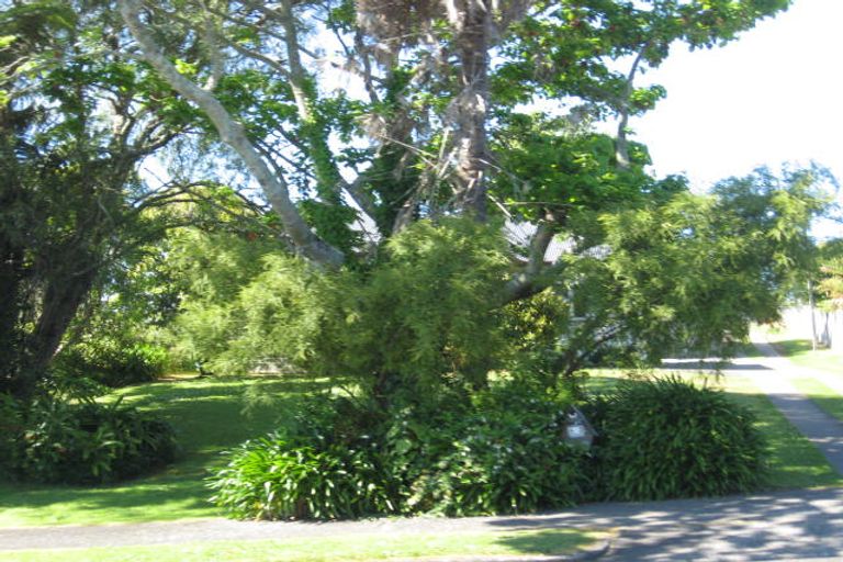 Photo of property in 592 Mandeno Street, Te Awamutu, 3800