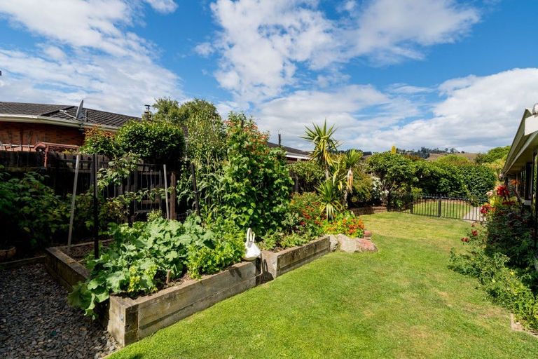 Photo of property in 19 Windsor Place, Mosgiel, 9024