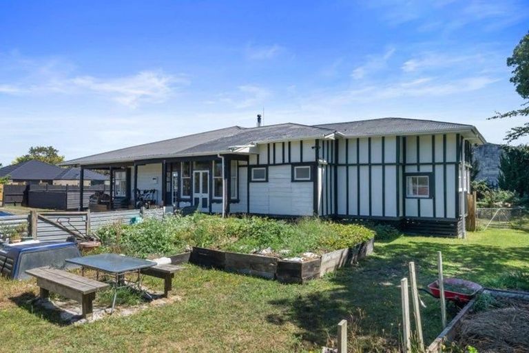 Photo of property in 24a Mckenzie Street, Levin, 5510