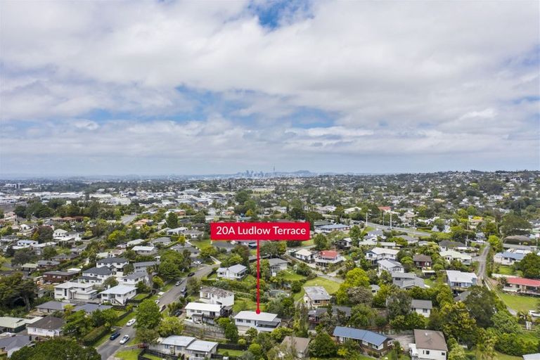 Photo of property in 20a Ludlow Terrace, Totara Vale, Auckland, 0627
