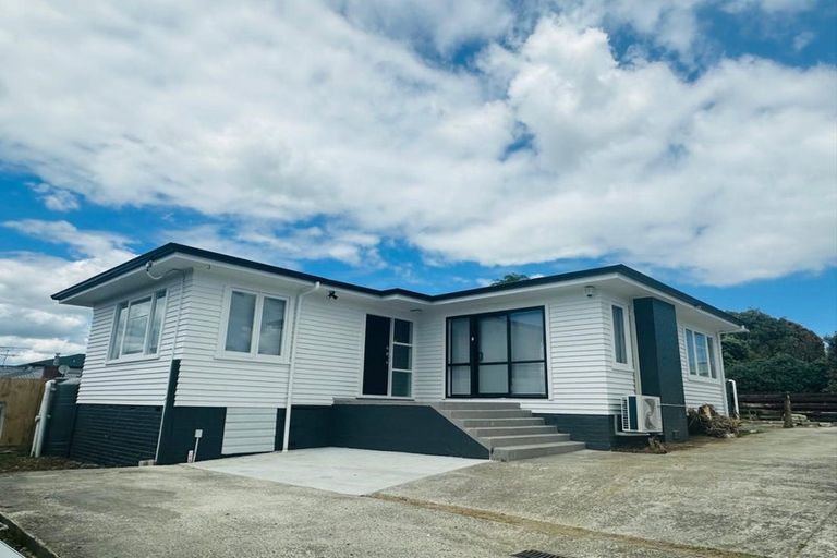 Photo of property in 46 Christmas Road, Manurewa, Auckland, 2102