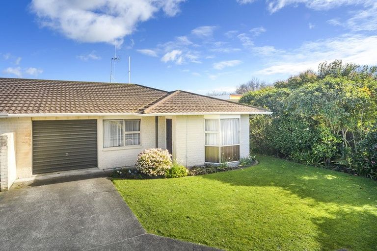 Photo of property in 63d Church Street, Awapuni, Palmerston North, 4412
