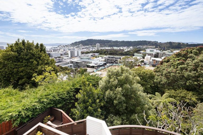 Photo of property in 51 Thompson Street, Mount Cook, Wellington, 6011