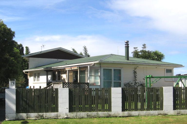 Photo of property in 12 Normandy Place, Henderson, Auckland, 0610