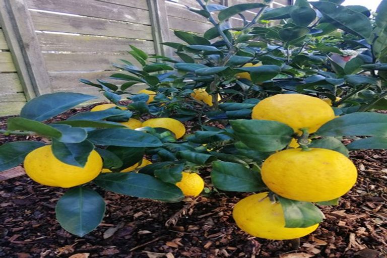 Photo of property in 591 Pukehina Parade, Pukehina, Te Puke, 3189