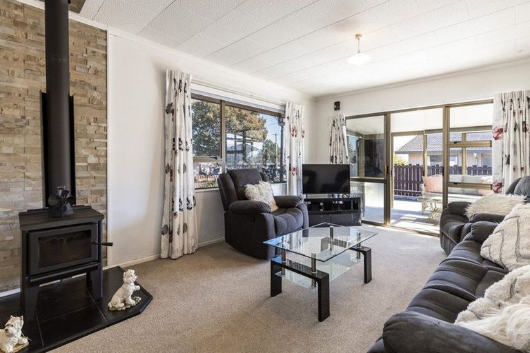 Photo of property in 209a Weld Street, Witherlea, Blenheim, 7201