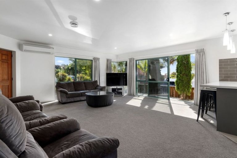 Photo of property in 19 Highgrove Place, Bethlehem, Tauranga, 3110