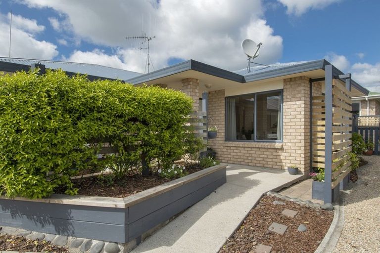 Photo of property in 1436b Cameron Road, Greerton, Tauranga, 3112