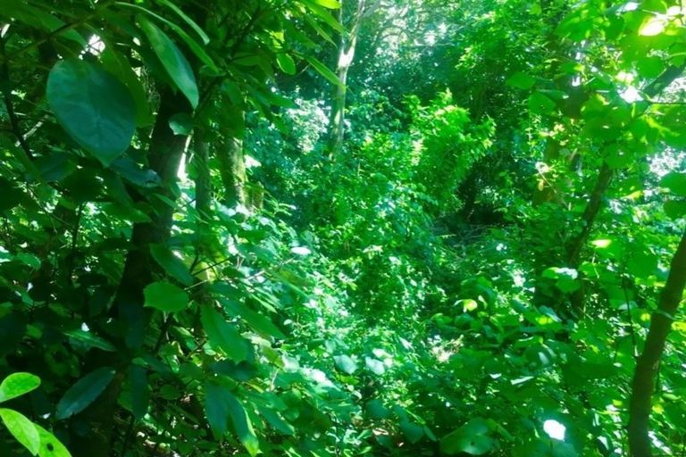 Photo of property in 93c Cecil Road, Wadestown, Wellington, 6012