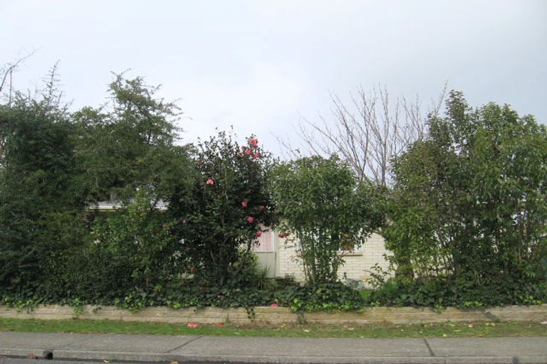 Photo of property in 19 Yarmouth Road, Flaxmere, Hastings, 4120