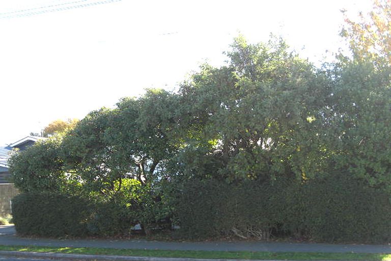 Photo of property in 81 Jeffreys Road, Fendalton, Christchurch, 8052