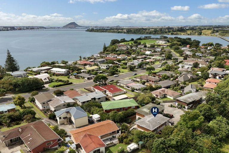 Photo of property in 371 Maungatapu Road, Maungatapu, Tauranga, 3112