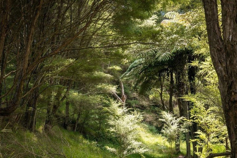 Photo of property in 49 Mangotahi Road, Thames, 3577