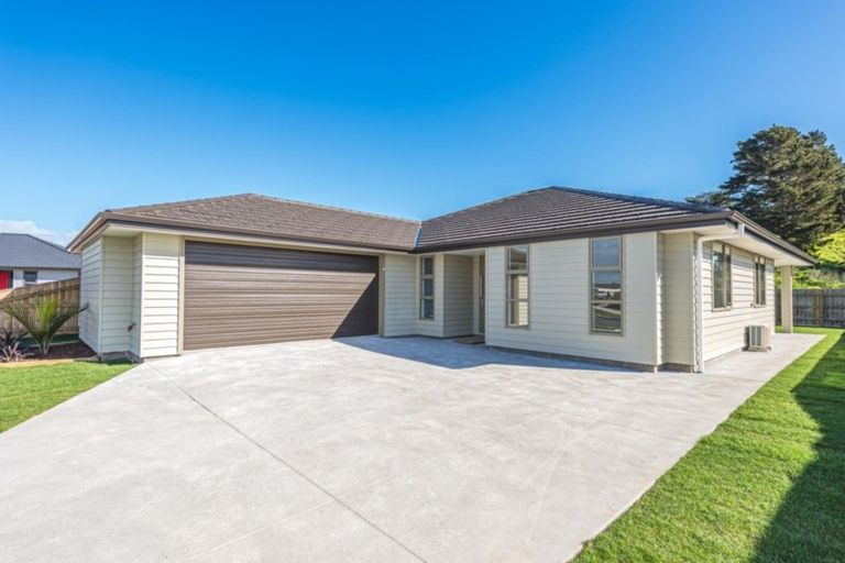 Photo of property in 51 Magnolia Crescent, Tawhero, Whanganui, 4501