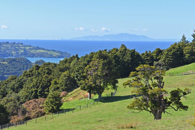 Photo of property in 128 Schollum Road, Big Omaha, Warkworth, 0985