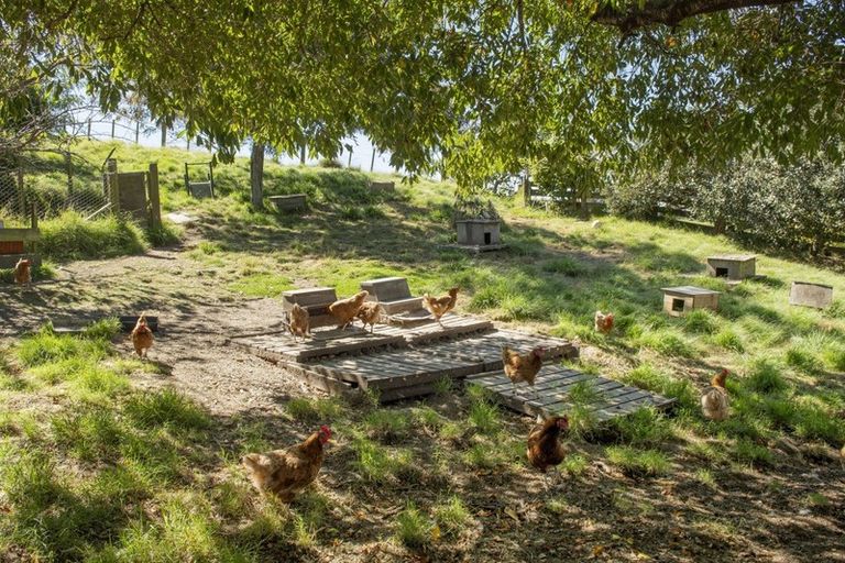 Photo of property in 473 Old Highway, Whakamarama, Tauranga, 3180