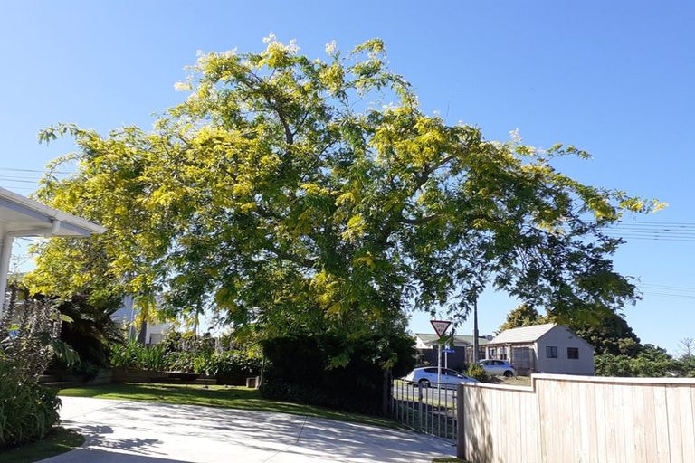Photo of property in 87 Peacockes Road, Fitzroy, Hamilton, 3206
