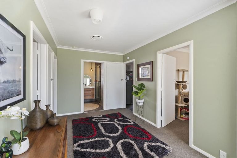 Photo of property in 34 Saint Annes Street, Levin, 5510