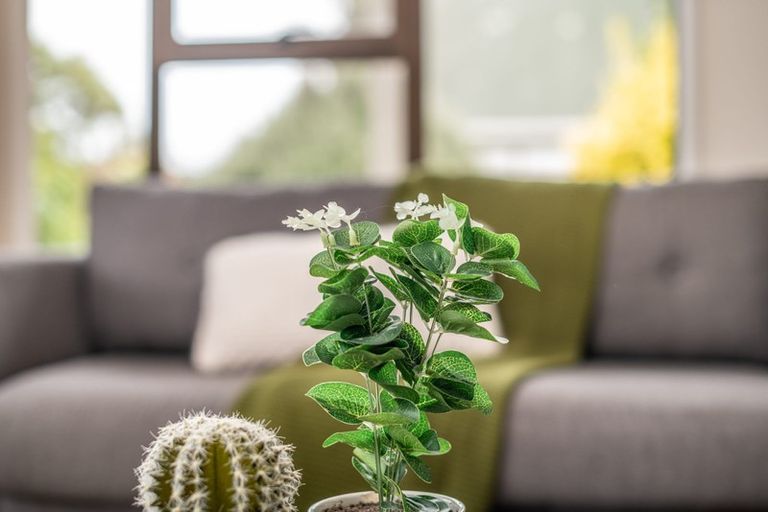 Photo of property in 44a Bould Street, Johnsonville, Wellington, 6037