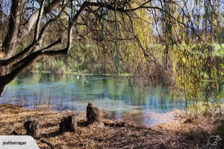 Photo of property in 1163 Rapaura Road, Spring Creek, Blenheim, 7273