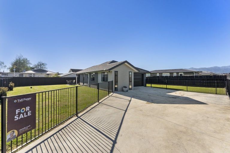Photo of property in 68 Hinemoa Street, Levin, 5510