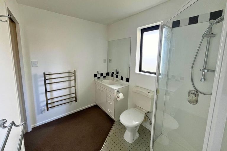 Photo of property in 223 Stone Street, Wanaka, 9305