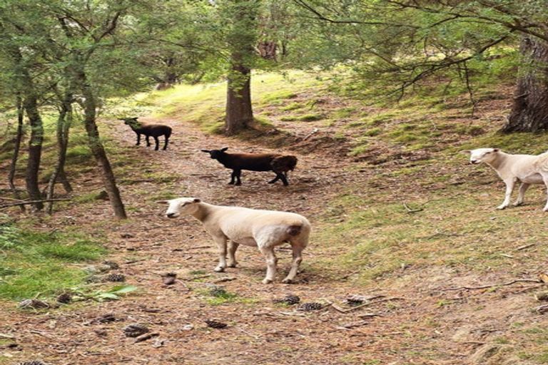 Photo of property in 265 Hill Road, Eskdale, Napier, 4182