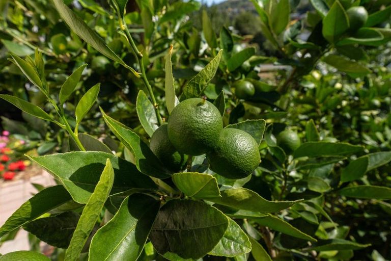 Photo of property in 186 Hampden Street, Nelson South, Nelson, 7010