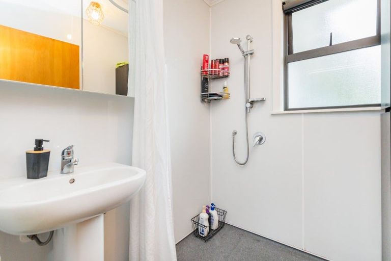 Photo of property in 116 Stanford Street North, Ashhurst, 4810