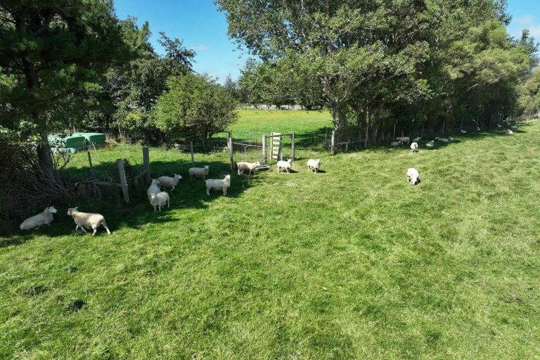 Photo of property in 657 Ryal Bush Wallacetown Road, Wallacetown, Invercargill, 9874