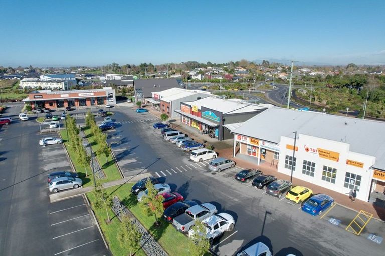 Photo of property in 22 Naismith Street, Chartwell, Hamilton, 3210