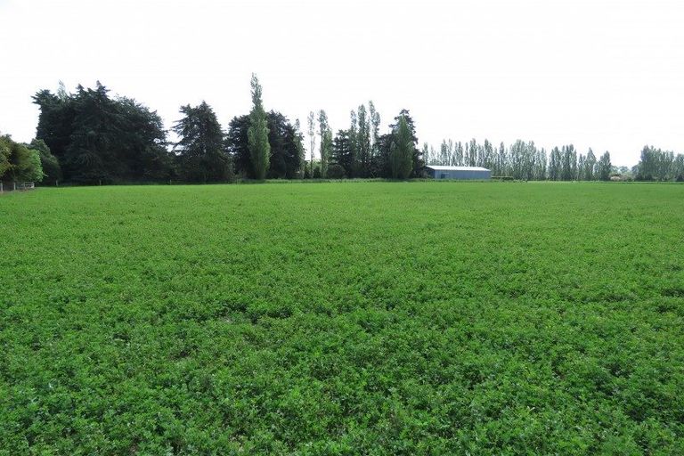 Photo of property in 161 Wakanui Road, Elgin, Ashburton, 7777