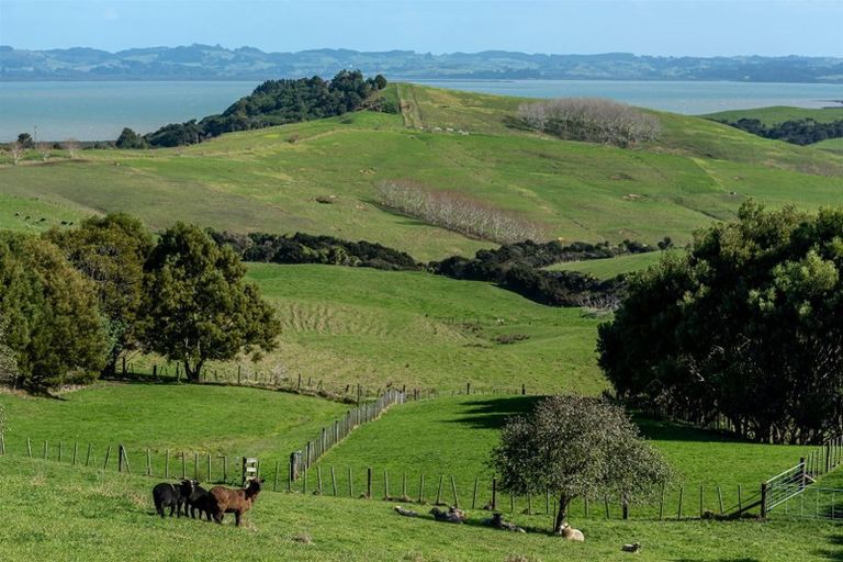 Photo of property in 16 Oyster Road West, Kaukapakapa, Warkworth, 0984