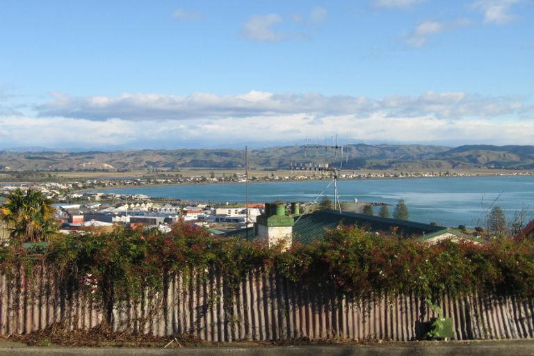 Photo of property in 20 Roslyn Road, Bluff Hill, Napier, 4110