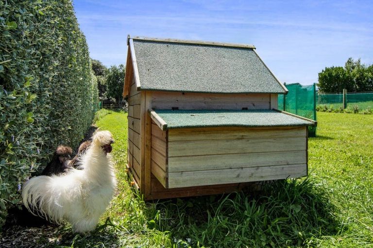 Photo of property in 3624 Eltham Road, Opunake, 4682