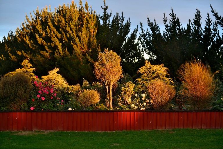 Photo of property in 67 White Road, Broadlands, Reporoa, 3081